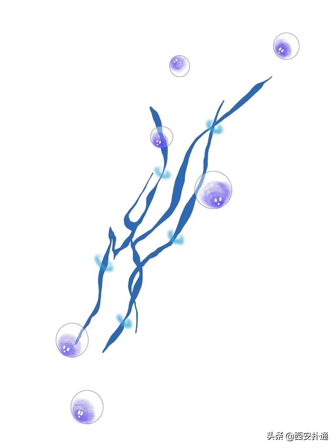 超治愈过家家玩具,西安不错的儿童玩具店