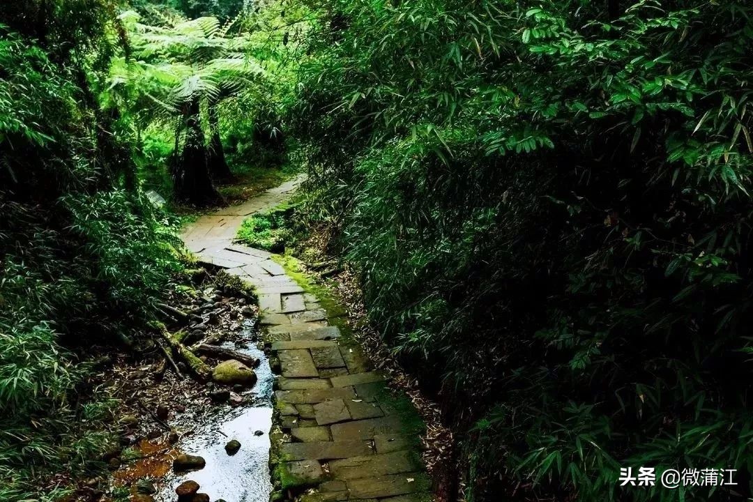 石象湖游览图片大全,石象湖自然风景