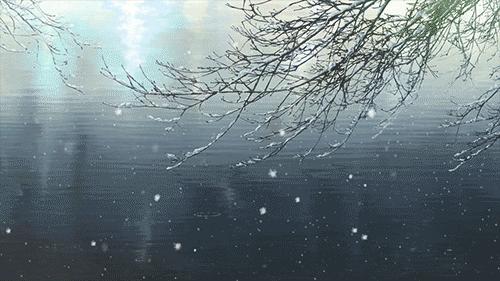 悠然爱摄影,爱摄影闲鱼