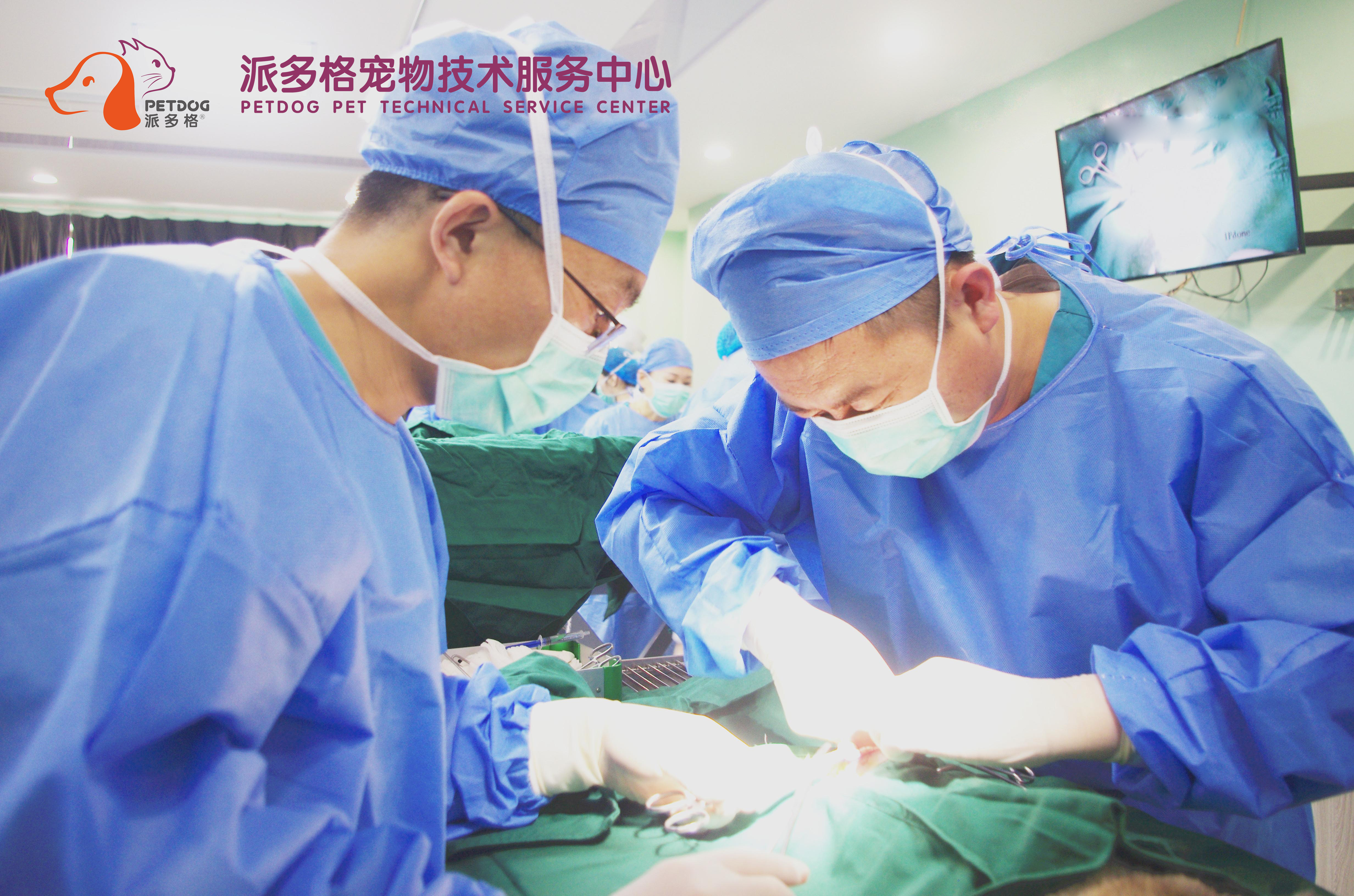 想学宠物医生专业推荐哪个学校,宠物医生培训班