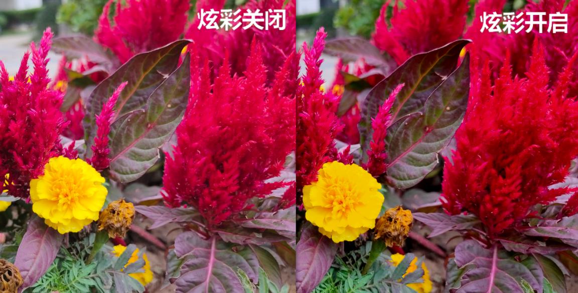 别只盯着充电速度！实测OPPOK5拍照，表现同样强劲