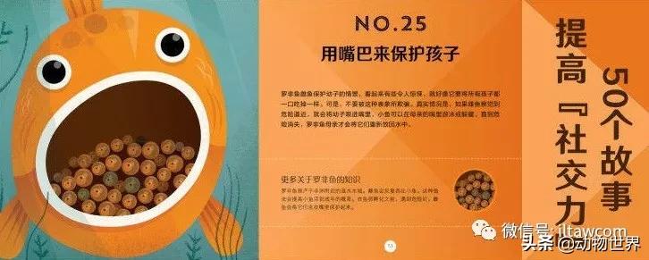 动物世界冷知识-乌贼进食首先要经过的脑部？