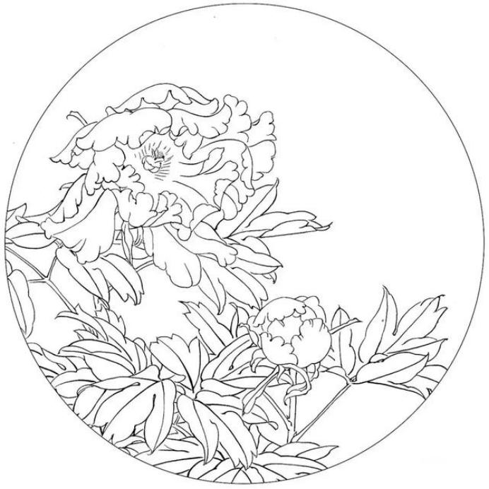 圆面白描作品古风,书法圆面白描作品集