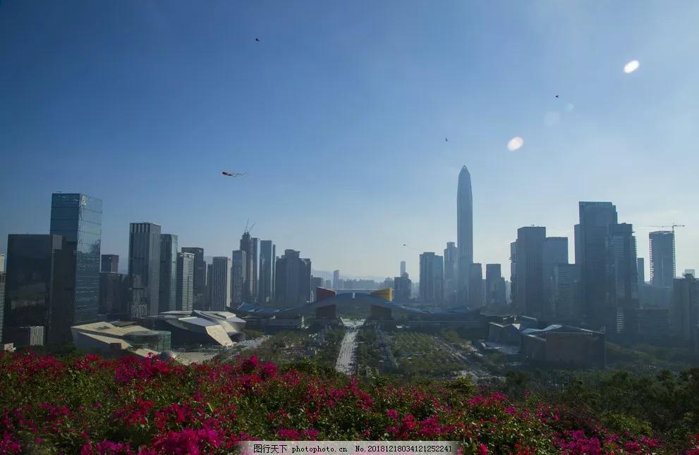 深圳莲花山单身相亲角,深圳莲花山景区