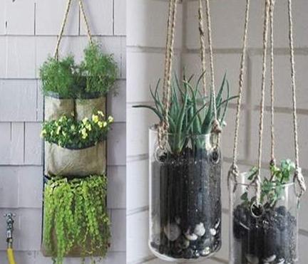 养花时三种药片的作用,养花必备3种常用药