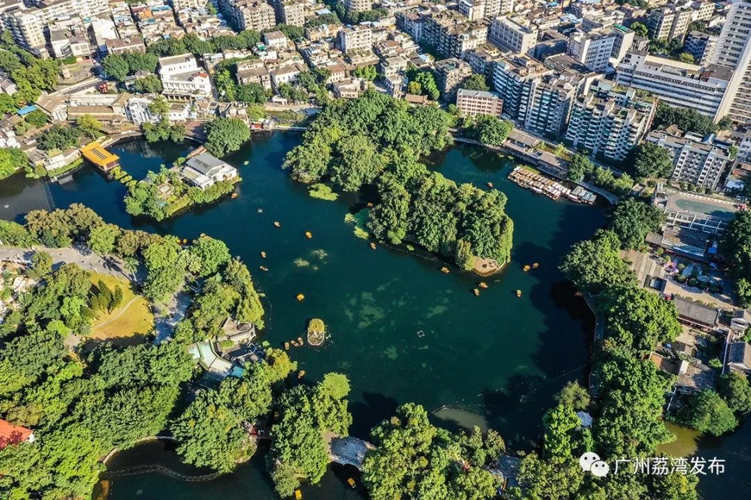 宝藏新公园周末好去处快来打卡,必打卡的宝藏公园