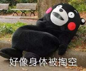 猫咪调皮捣蛋疯不停？找对方法很重要！