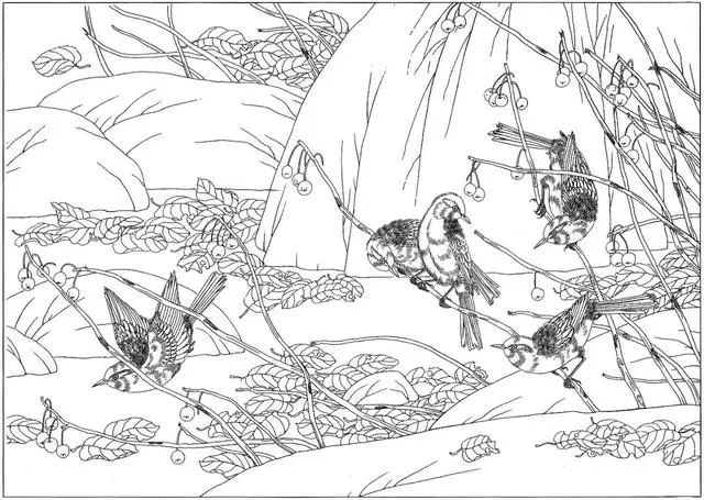 工笔花鸟白描步骤图,牡丹六尺横幅白描工笔花鸟底稿