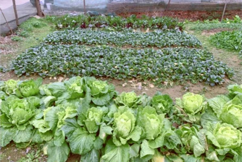 不要失去对生活的勇气,愿你总有重启的勇气