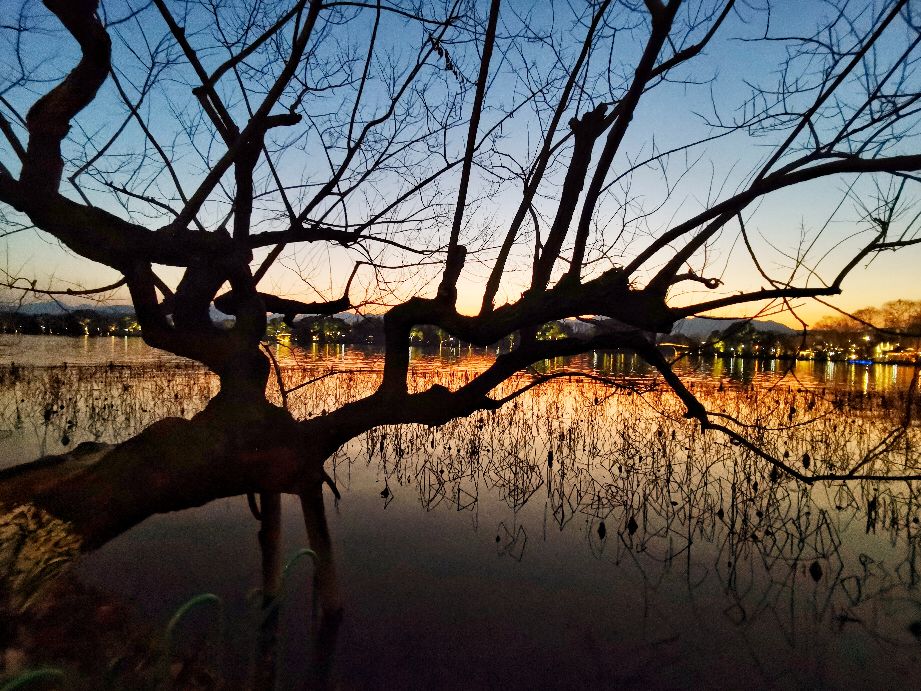 西湖夜游重启夜西湖美不胜收,开车夜游西湖视频夜景