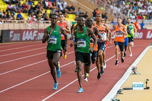 马拉松赛道上的兔子,马拉松中的兔子该怎么跑