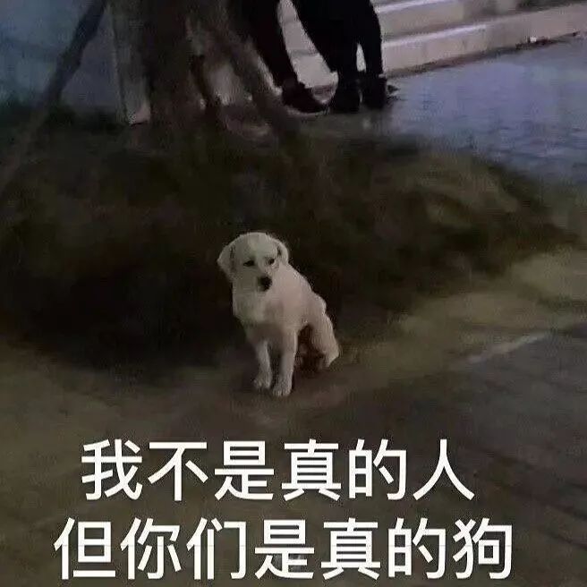 去小米售后工作怎么样,小米售后要关什么