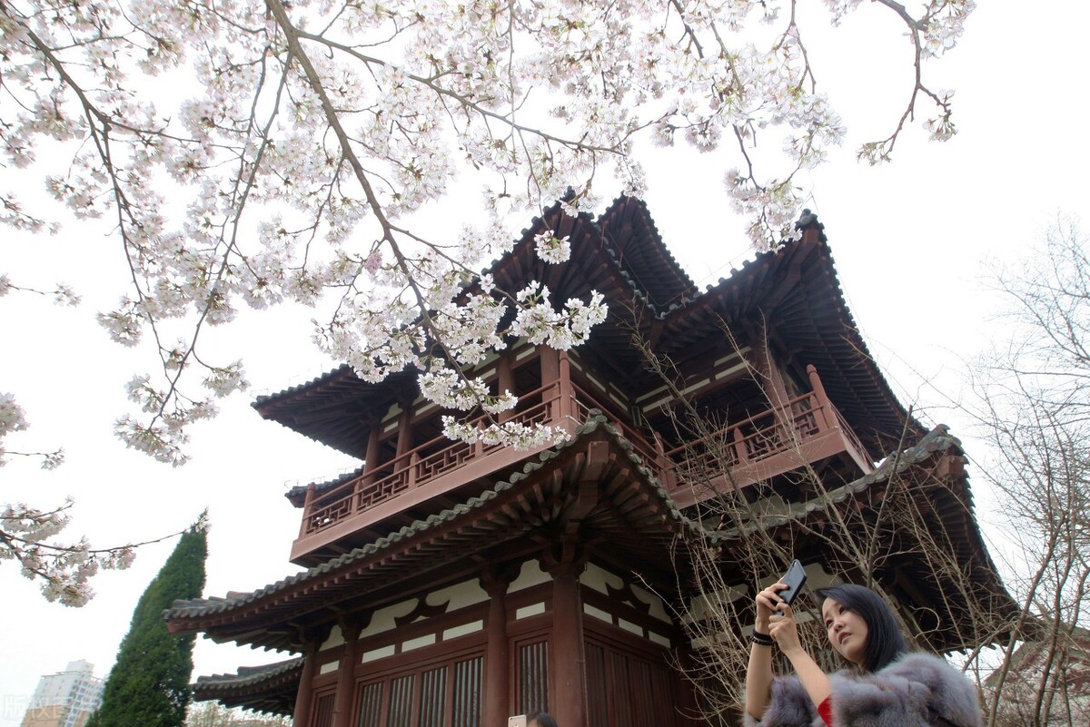 亲子游西安必去景点攻略,西安旅游攻略亲子三日游景点推荐