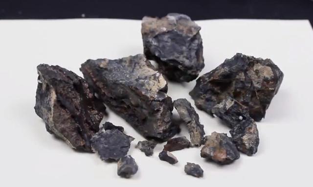 莫斯树到底好不好,莫斯树是什么