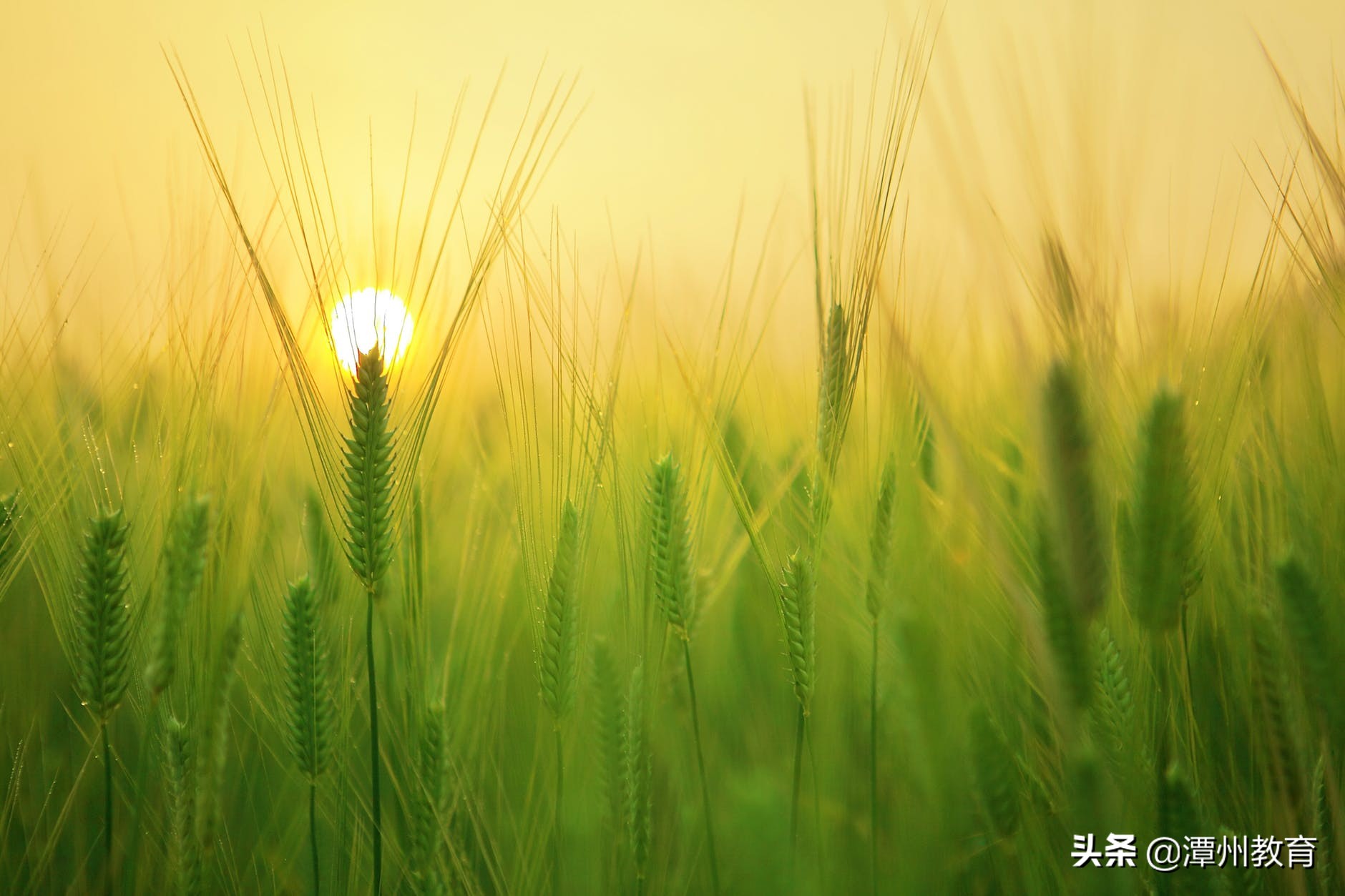 知乎上102个高赞回答，网友直呼：经典！第5条绝了