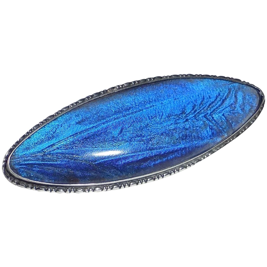 蝴蝶可以做什么产品,蝴蝶也可以做成艺术工艺品