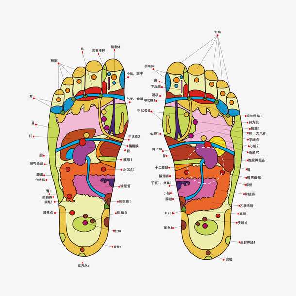 炎炎夏日注意防护,炎炎夏日更应关注脚部保暖