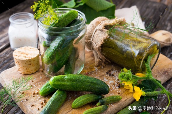 德国泡菜各种吃法,外国人吃酸黄瓜中文版