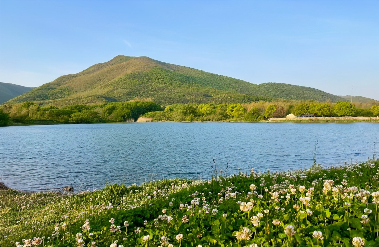 又一新晋网红打卡地,新晋绝美打卡地