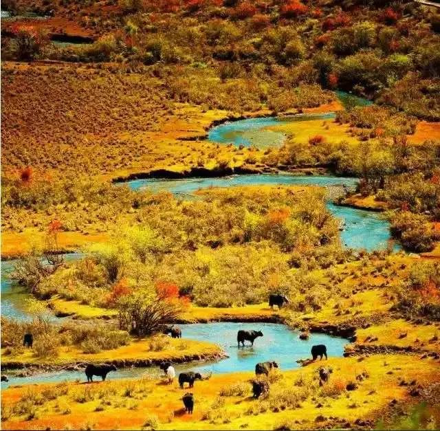 人间天堂美景原唱完整版,人间天堂美丽的丽江