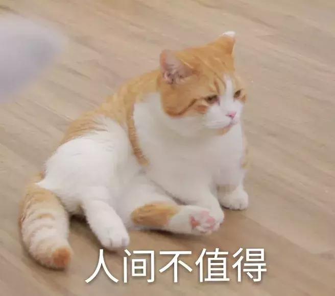 如何快速甄别绿茶婊,怎么分辨绿茶婊