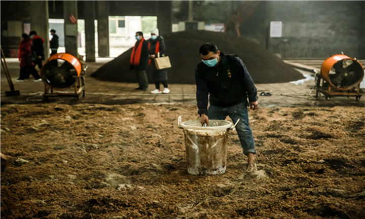 贵州白酒制造全过程,贵州大曲酒怎样
