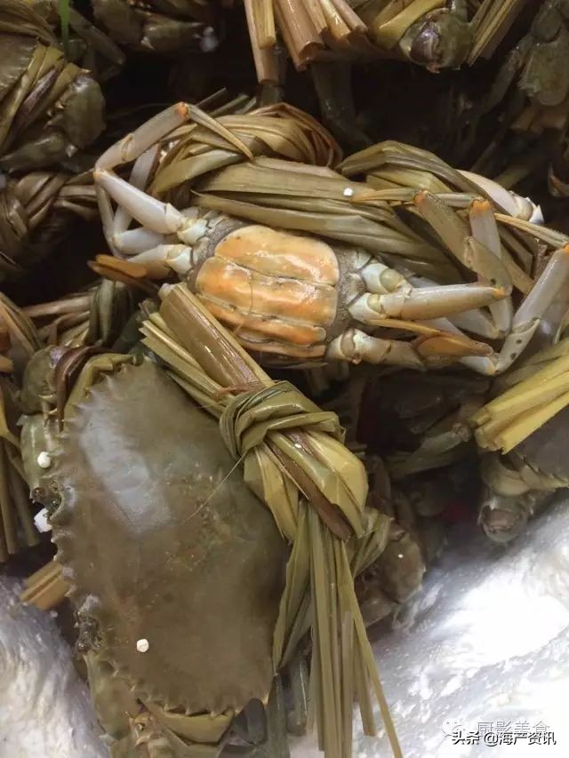 这些诱人的美食你吃过吗,世界上顶级海鲜大全你吃过几种