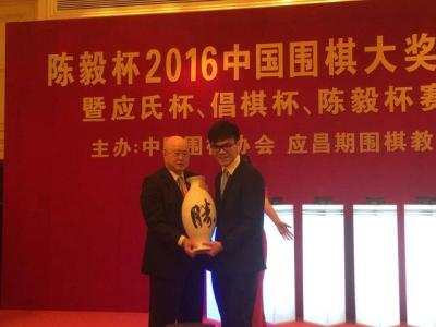 聂卫平和吴清源下棋,聂卫平和陈毅走棋的电影