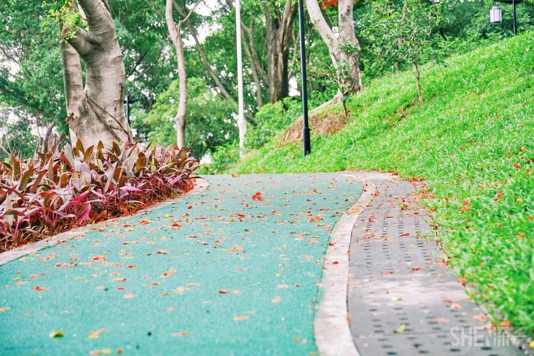 深圳八大绝美公园,山水公园深圳