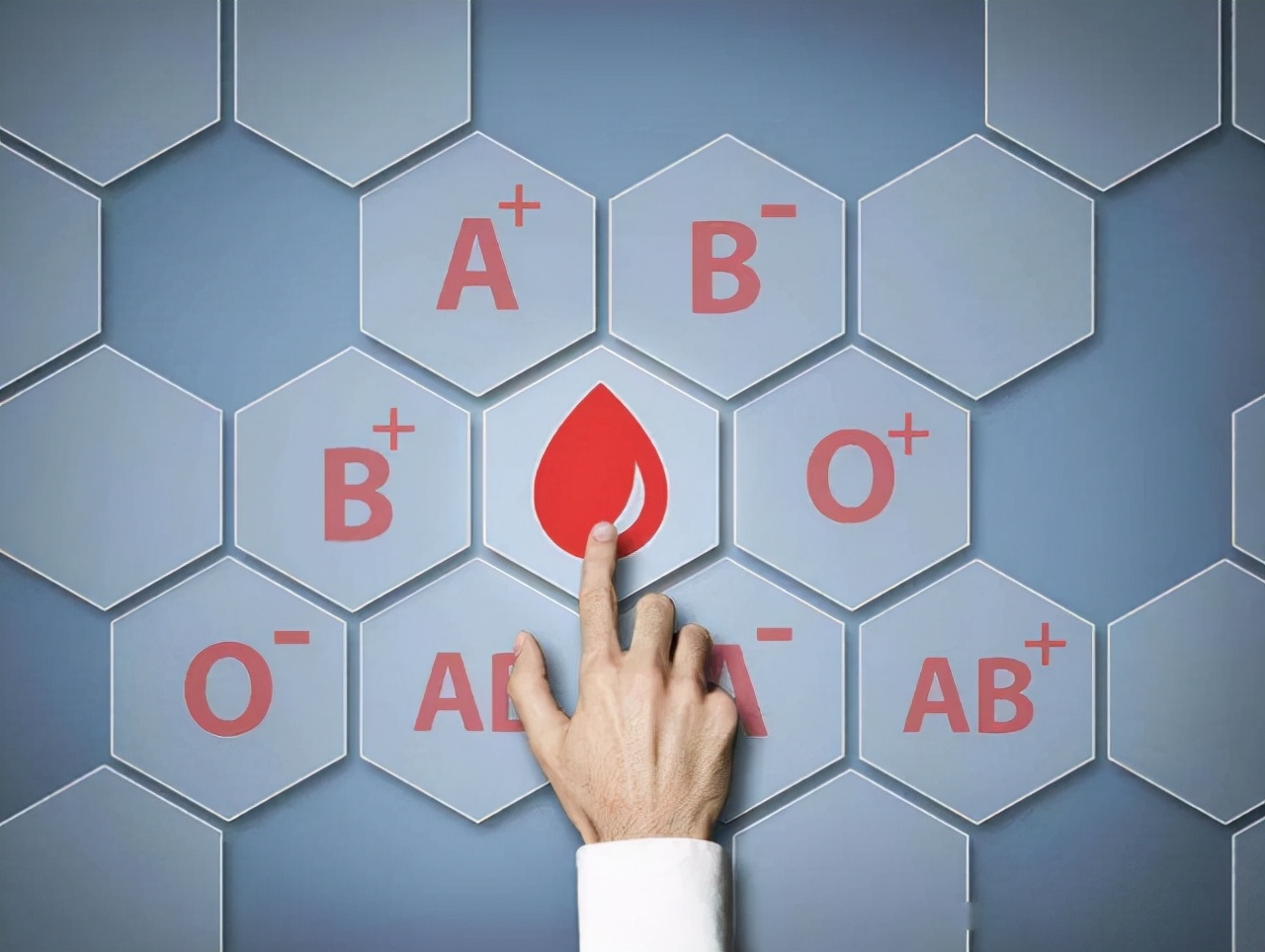 a型b型o型ab型哪种血型的人更长寿,a型b型o型哪个血型身体素质好