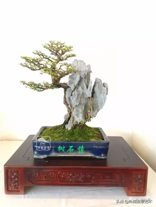 鎮礀缁濆閫㈢敓,鎮礀鐩嗘櫙澶у叏