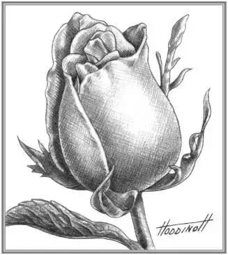 鐜懓绱犳弿鏁欑▼,绱犳弿鐜懓鐢绘硶鏁欑▼