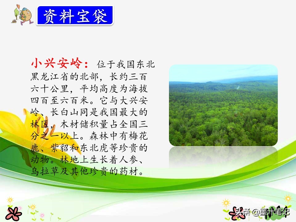 美丽的小兴安岭课文讲解人教版,三上语文美丽的小兴安岭课文讲解