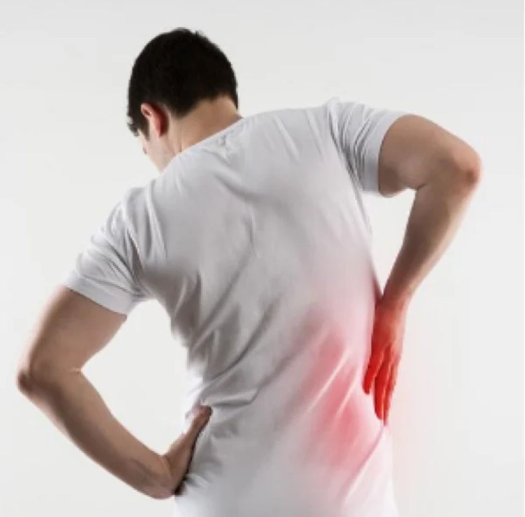 马钱子的前世今生:宫斗剧中的热门毒药,竟是治腰痛良药