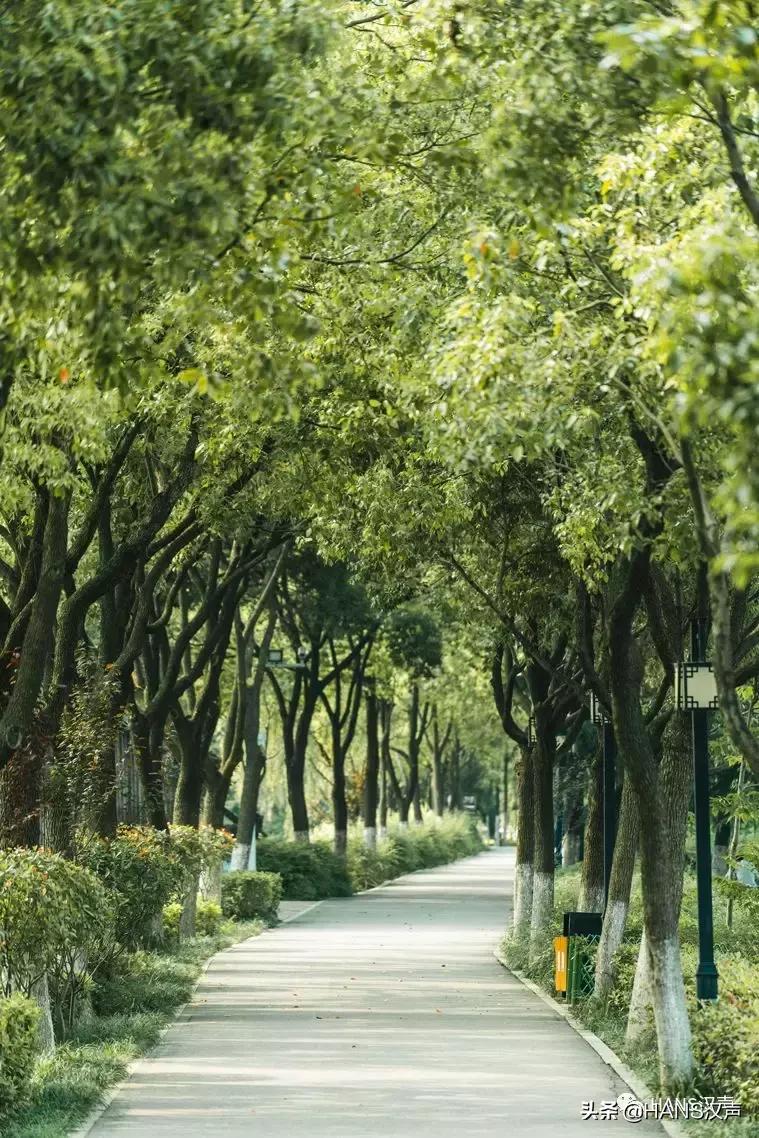 汉口夏天,汉口夏日