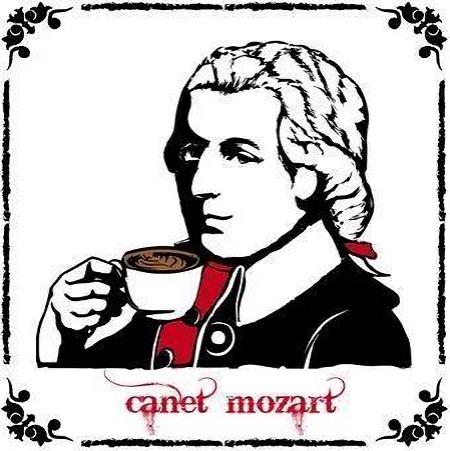 哥斯达黎加咖啡特点,哥斯达黎加咖啡风味