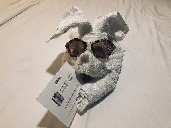 皇家加勒比邮轮2024年中国计划,今年的出游计划还没定