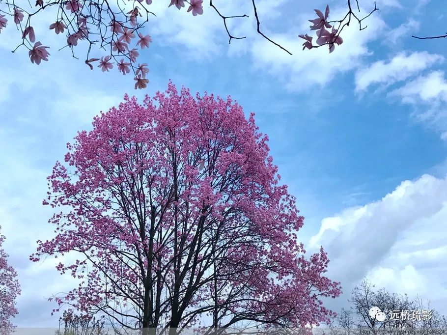 药王谷里觅旧迹（原图文）