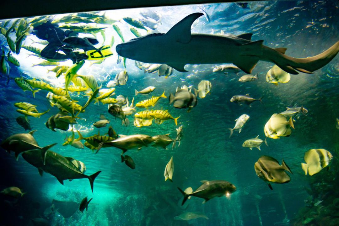 北京4-5天旅游景点通票,北京联合旅游