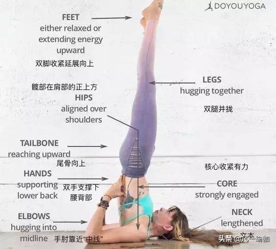 瑜伽练习的基本原则,瑜伽之光讲的什么