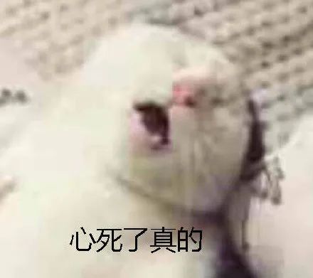 arp攻击教程,怎么避免arp攻击和欺骗