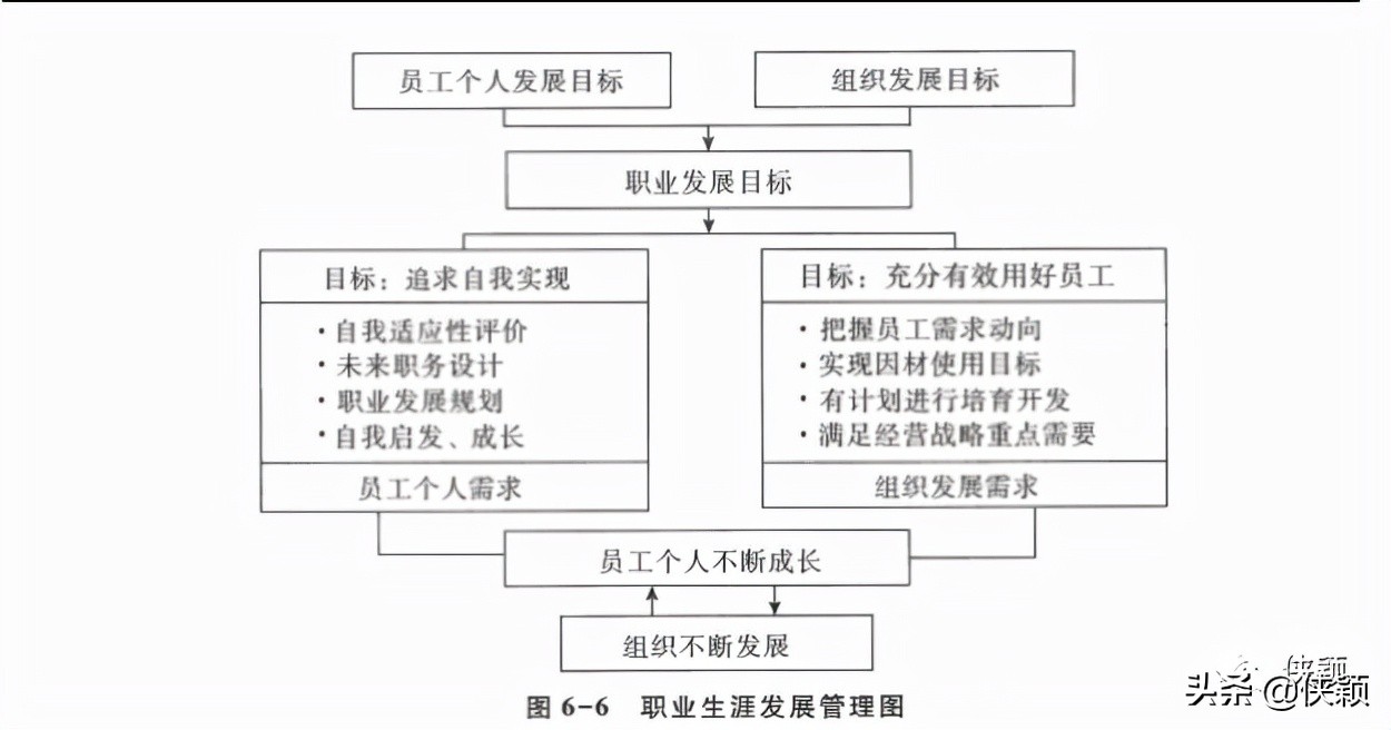 职业认知与职业发展规划,未来的职业发展方向及职业目标
