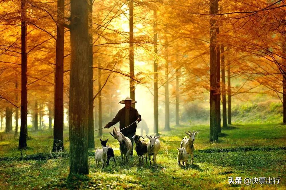 恩施为什么是中国最美的地方,恩施风景真的美