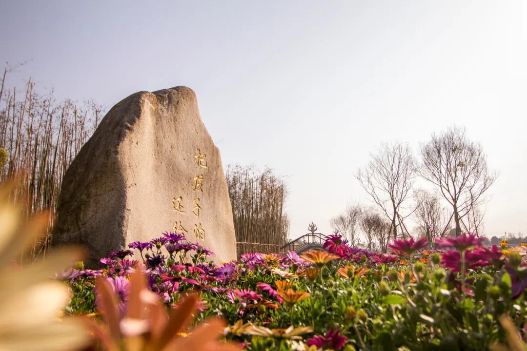 芬兰国家级团队打造，青城山下的“水墨校园”万汇国际学府牛在哪