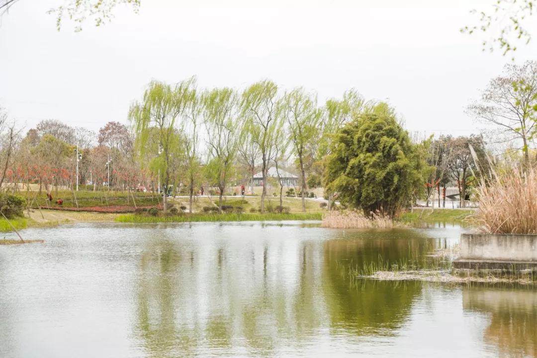 成都最有潜力的花园,成都是个大花园