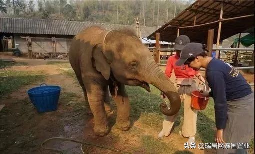 在泰国工作的中国人日常,在泰国的中国人一般都在做什么