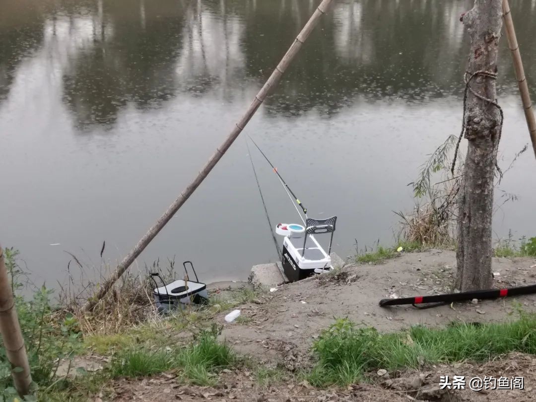 你真的会选吗最详细选购指南,你真的会选鱼竿吗