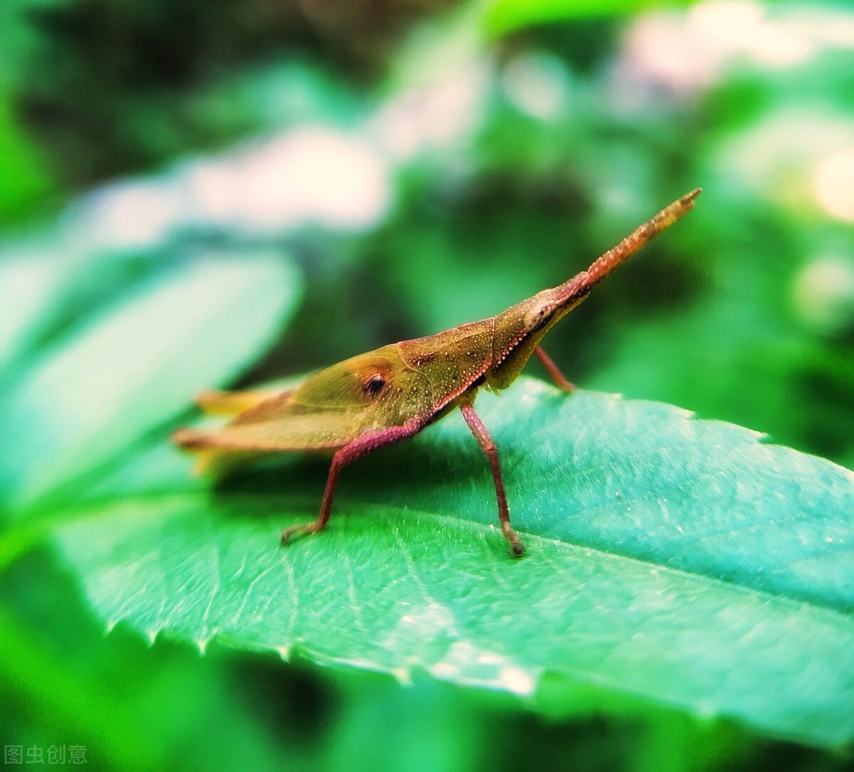 影响世界的十大科学家,影响世界科技十大人物