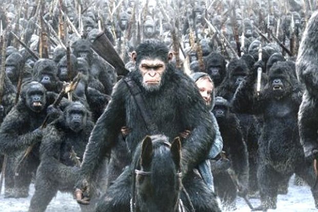 美国科学家谈中国转基因合法,美国专家谈中国转基因的危害