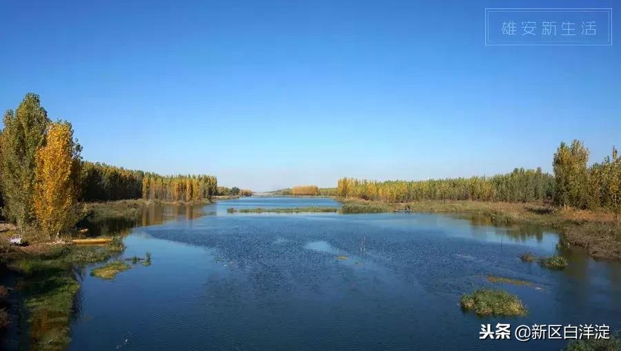 雄安新区纪事:容城印象